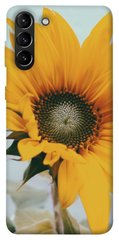 Чохол для Samsung Galaxy S21 + PandaPrint Соняшник квіти